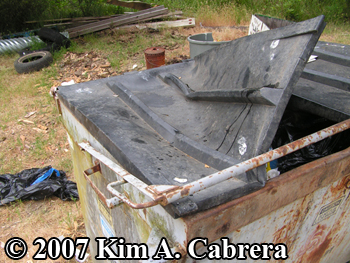 dumpster
                      raided by a black bear. Photo copyright 2007 by
                      Kim A. Cabrera.