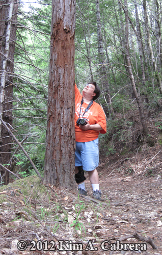 me standing next to a bear marking tree