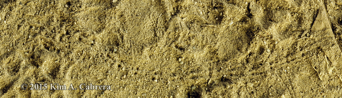 caterpillar tracks