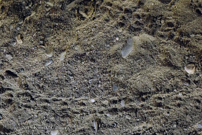 caterpillar tracks under a
                  building