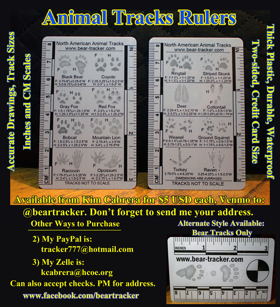 Tracking rulers
