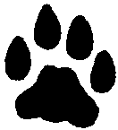 Domestic cat right
                  hind track. Drawing © by Kim A. Cabrera.