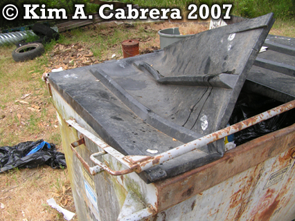 Black bear raided dumpster. Photo
                            copyright by Kim A. Cabrera 2007.