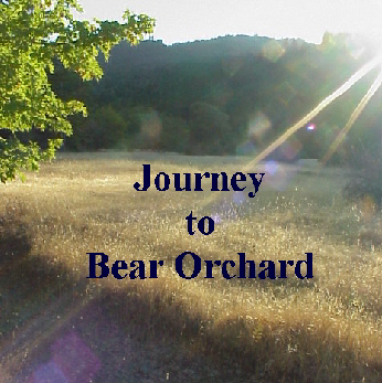 Journey to
                Bear Orchard
