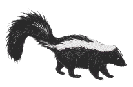 stskunk