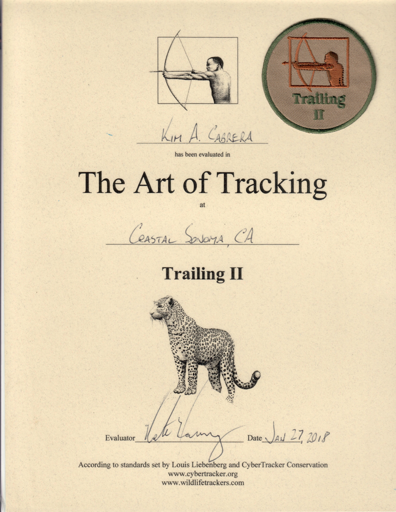 trailing 2 certificate